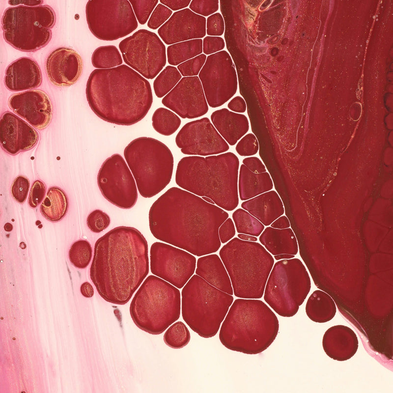 Accelerates ATP production